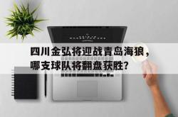 四川金弘将迎战青岛海狼，哪支球队将翻盘获胜？的简单介绍